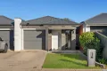 Property photo of 68 Wheaton Street South Plympton SA 5038