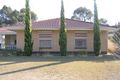 Property photo of 51 Park Terrace Bordertown SA 5268