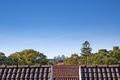 Property photo of 6/33 Alt Street Ashfield NSW 2131