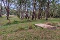 Property photo of 94 Berrys Road Gorae VIC 3305