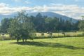Property photo of 93A Lind Avenue Dargo VIC 3862