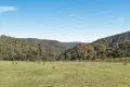 Property photo of 94 Oakey Forest Road Marrangaroo NSW 2790