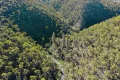 Property photo of 94 Oakey Forest Road Marrangaroo NSW 2790