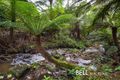 Property photo of 30 Monbulk Road Belgrave VIC 3160