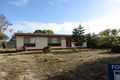 Property photo of 69 Ti-Tree Road The Pines SA 5577