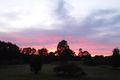 Property photo of 12 Dunmore Road Largs NSW 2320