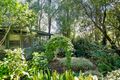 Property photo of 2 Vera Court Millgrove VIC 3799