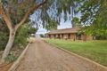 Property photo of 1205 Karadoc Avenue Irymple VIC 3498