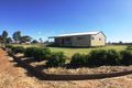 Property photo of 80 Sandalwood Avenue West Dalby QLD 4405