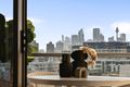 Property photo of 1128/20 Gadigal Avenue Zetland NSW 2017