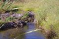 Property photo of 252 Yetman Road Inverell NSW 2360