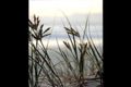 Property photo of 1 Murphys Road Kingscliff NSW 2487