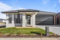 Property photo of 80 Willoby Drive Alfredton VIC 3350