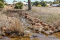 Property photo of 13 Fasolo Close Lesmurdie WA 6076
