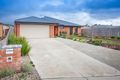 Property photo of 19 Egan Court Riddells Creek VIC 3431