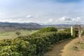 Property photo of 782 Gocup Road Gocup NSW 2720