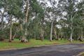 Property photo of 16 Shannon Rise Banksia Park SA 5091