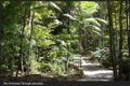 Property photo of 115 Mapleton Forest Road Mapleton QLD 4560