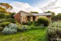 Property photo of 50 Harvey Road Bannockburn VIC 3331
