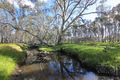 Property photo of 33 Mills Road Eppalock VIC 3551