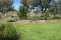 Property photo of 43 Albert Street Parkes NSW 2870