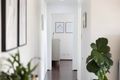 Property photo of 10/45 George Street Marrickville NSW 2204