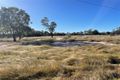 Property photo of 2002 Tara-Kogan Road Tara QLD 4421