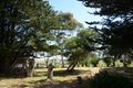 Property photo of 4974 Glenelg Highway Muntham VIC 3315