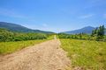 Property photo of 307R Dalton Road Aloomba QLD 4871