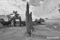 Property photo of 5 Janice Avenue Falcon WA 6210