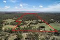 Property photo of 155 Bell Road Belford NSW 2335