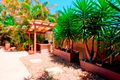 Property photo of 3 Wetheral Place Alexandra Hills QLD 4161
