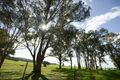 Property photo of 6/248 Back Brawlin Road Cootamundra NSW 2590