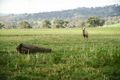 Property photo of 6/248 Back Brawlin Road Cootamundra NSW 2590