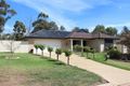 Property photo of 17 Dunne Crescent Thurgoona NSW 2640
