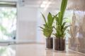 Property photo of 14/145 Government Road Labrador QLD 4215