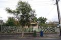 Property photo of 2 Northgate Street Unley Park SA 5061