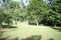 Property photo of 608 Pine Creek Road Springbrook QLD 4213