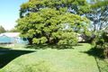 Property photo of 29 Oliphant Street Murarrie QLD 4172