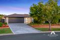 Property photo of 53 Caley Crescent Drewvale QLD 4116