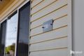 Property photo of 108 Madden Street Devonport TAS 7310