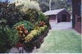 Property photo of 37-39 McIvor Court Ormeau QLD 4208