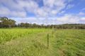 Property photo of 125 Pipeclay Street Ebor NSW 2453