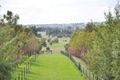 Property photo of 490 Freemantle Road Mount Rankin NSW 2795