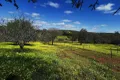 Property photo of 25 Balgaling Road Coondle WA 6566