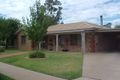 Property photo of 41 Rural Drive Mildura VIC 3500