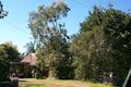 Property photo of 3 Koala Court Witta QLD 4552