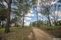 Property photo of 4B Gilfedder Terrace Mirboo North VIC 3871