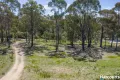 Property photo of 4B Gilfedder Terrace Mirboo North VIC 3871