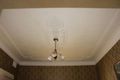Property photo of 98 Northumberland Street Maryville NSW 2293